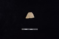 陶片藏品圖，第1張